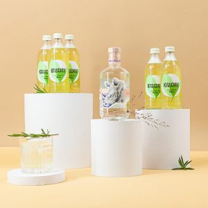 Kombucha mit leckerem Rinocero Gin