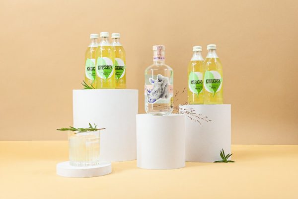 Kombucha mit leckerem Rinocero Gin